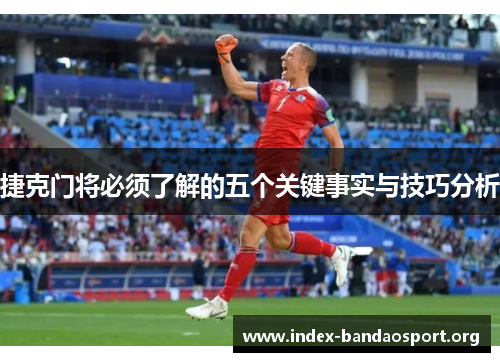 捷克门将必须了解的五个关键事实与技巧分析 捷克门将必须了解的五个关键事实与技巧分析