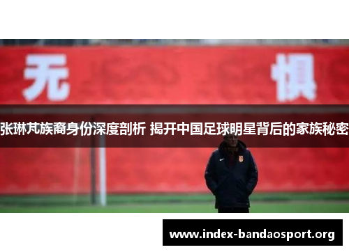 张琳芃族裔身份深度剖析 揭开中国足球明星背后的家族秘密 张琳芃族裔身份深度剖析 揭开中国足球明星背后的家族秘密