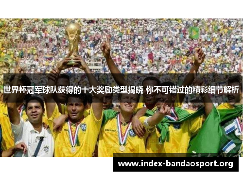 世界杯冠军球队获得的十大奖励类型揭晓 你不可错过的精彩细节解析