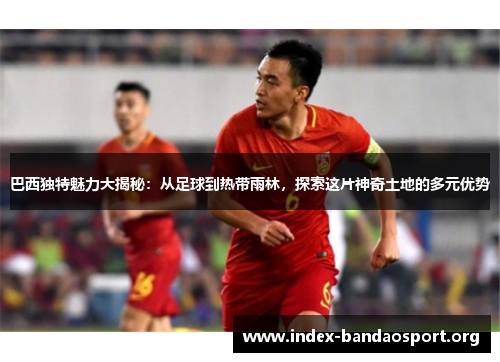 巴西独特魅力大揭秘:从足球到热带雨林,探索这片神奇土地的多元优势 巴西独特魅力大揭秘:从足球到热带雨林,探索这片神奇土地的多元优势